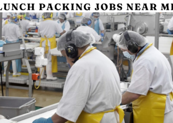 Lunch Packing Jobs